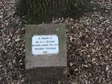 image of grave number 848180